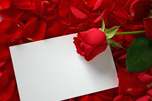 frases de amor romanticas. frases de amor romanticas. frases de amor romanticas.