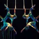 Varekai no Brasil 2011 , ingressos, data