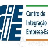 Vagas de estágio em Franca e Ribeirão Preto para 2012