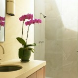 Decoração de banheiros com plantas: fotos