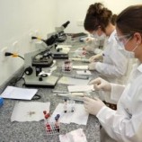 Curso técnico em Análises Clínicas no Senac