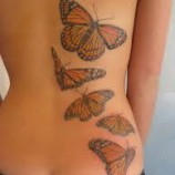 Fotos de borboletas para tatuagem
