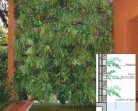 Projetos de jardins verticais