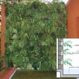 Projetos de jardins verticais