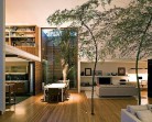 Fotos de jardim dentro de casa