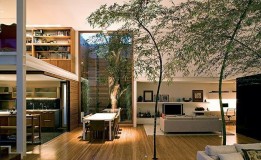 Fotos de jardim dentro de casa