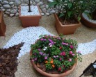 Jardim para apartamentos: Veja modelos lindos