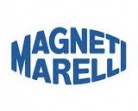 Magneti Marelli Programa de Estágio 2013