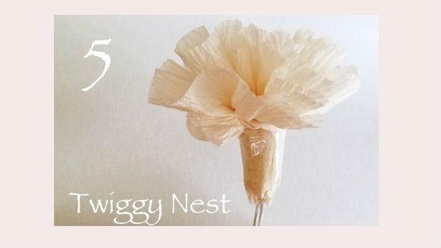 Foto Twigg Nest