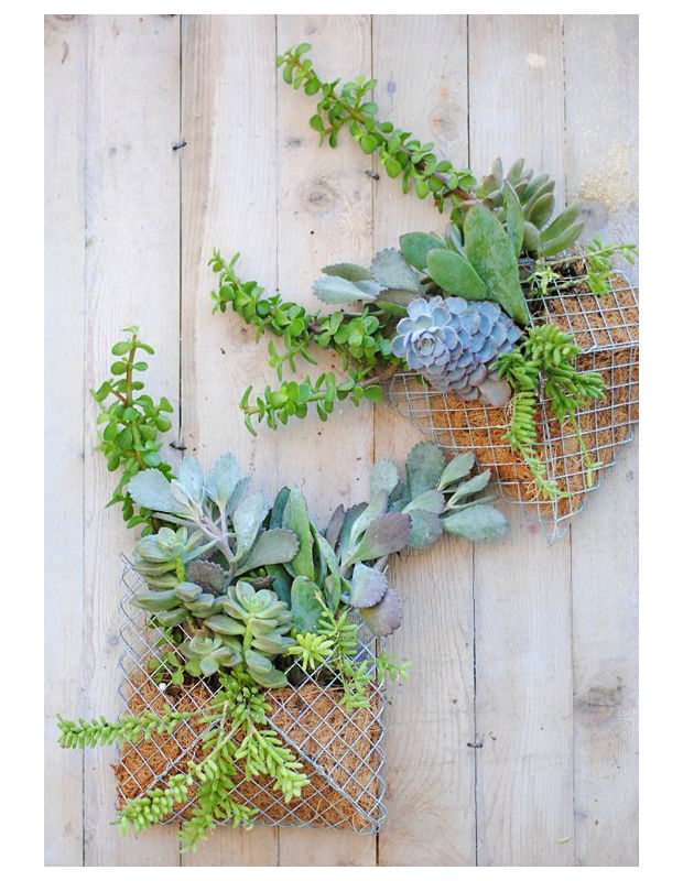 Foto: Apartment Therapy