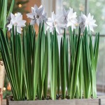 Arranjo feito com flores de papel passo a passo Arranjo feito com flores de papel passo a passo