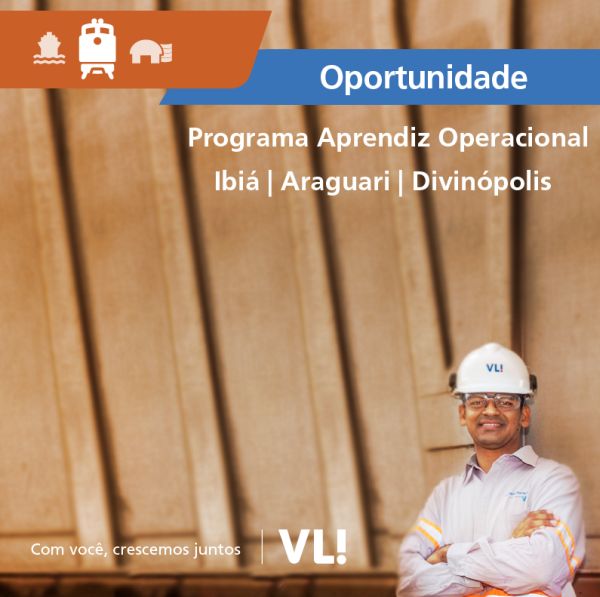 O programa trainee operacional VLI 2016 pode alavancar a sua carreira profissional  (Foto: vli-logistica.com)