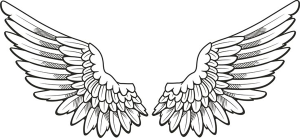 desenho asa