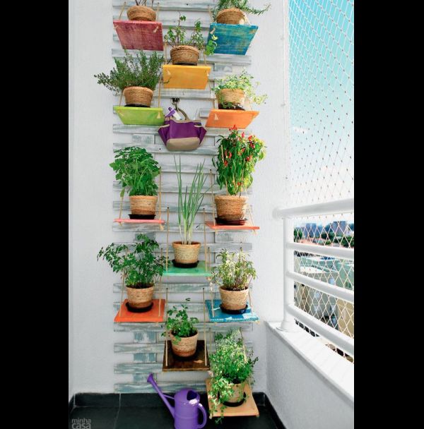 jardim vertical com vasinhos