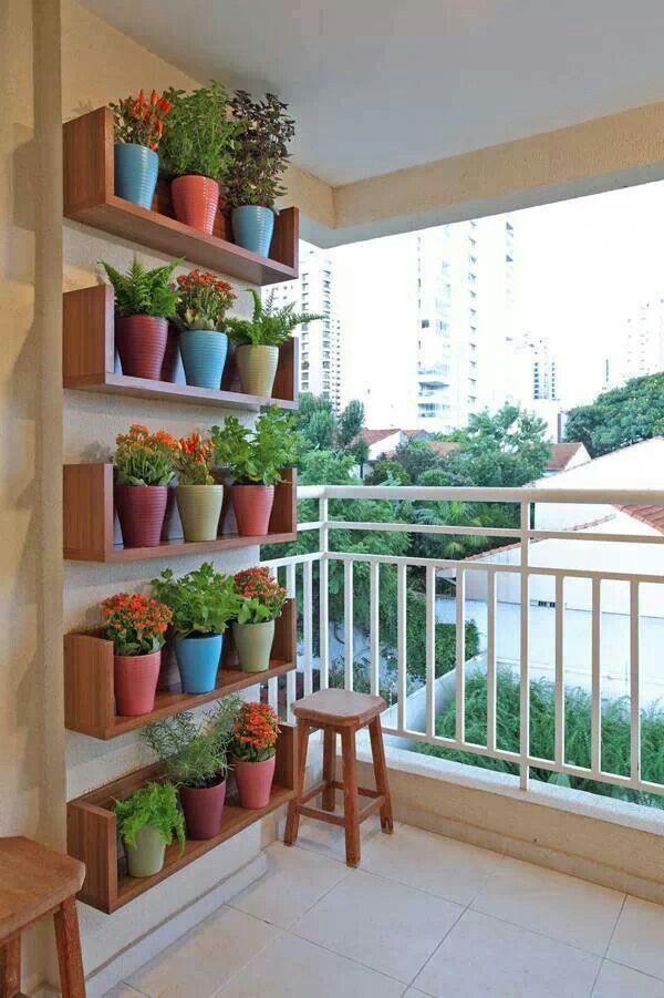 jardim vertical com vasos na prateleira