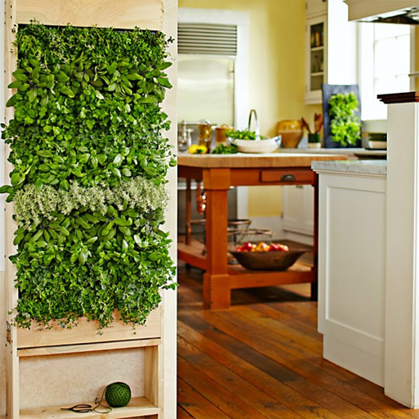 jardim vertical na cozinha