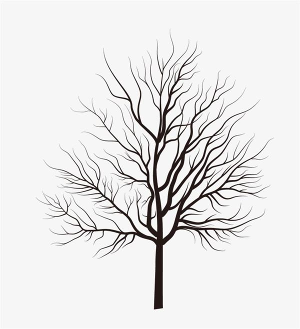 desenhos de árvores com passaros