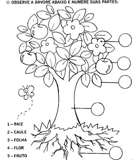 desenhos de árvores para pintar