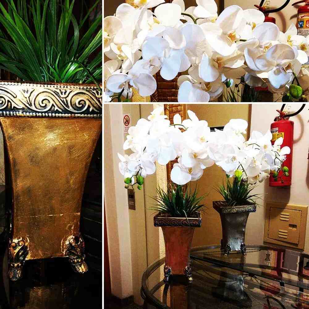 orquídea no vaso
