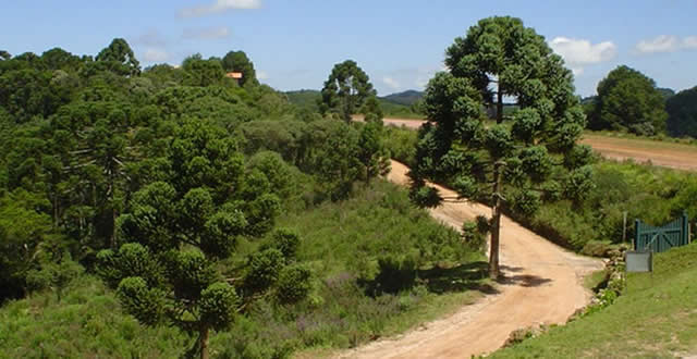 Lugares para passear em Monte Verde