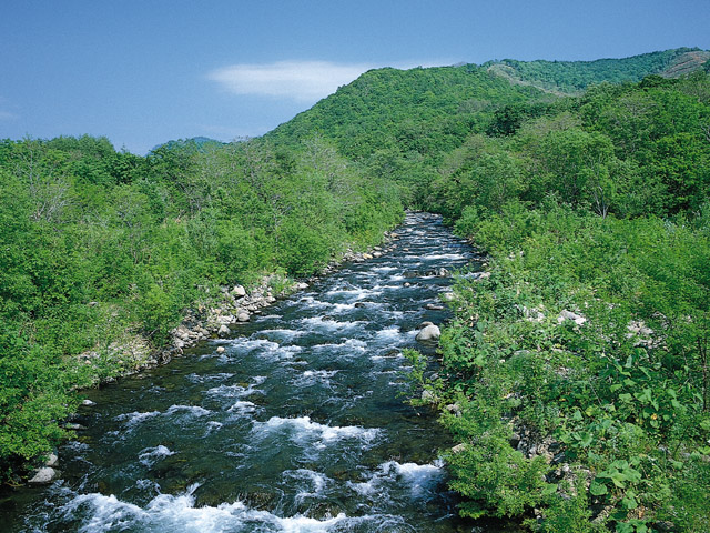 Concursos na área ambiental para 2011/2012