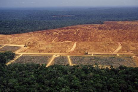 Novas regras do Código Florestal aprovado: veja as mudanças na lei