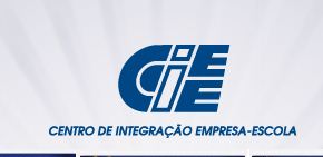 Cursos gratuitos no Ciee SP 2012