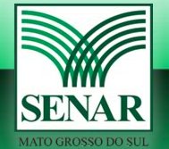 Cursos gratuitos Senar MS 2012