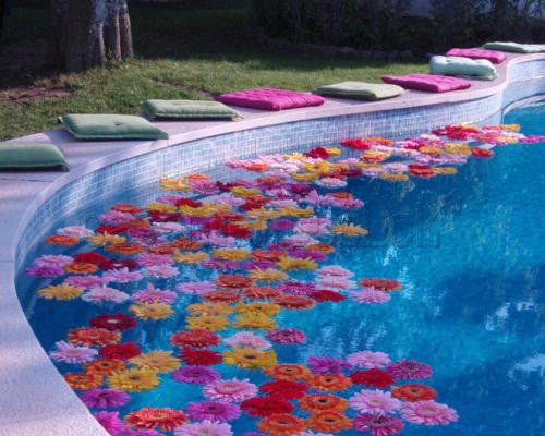 DECORA u00c7ÃO DE PISCINA PARA FESTA DE CASAMENTO # Enfeites De Mesa Para Luau DECORA u00c7ÃO DE PISCINA PARA FESTA DE CASAMENTO # Enfeites De Mesa Para Luau