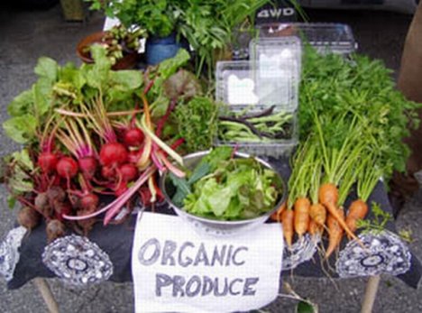 Alimentos orgânicos: vantagens e desvantagens