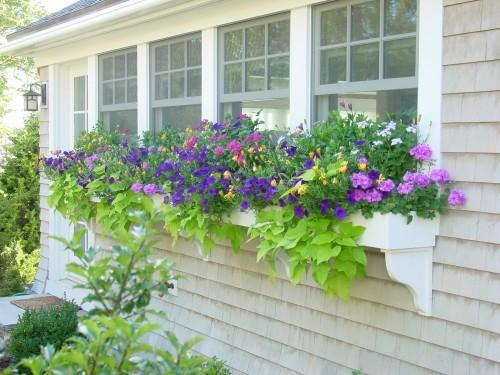 Janelas decoradas com flores