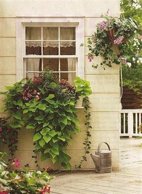 JANELAS DECORADAS COM FLORES