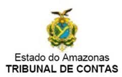 TCE Amazonas abre concurso com 30 vagas em 2012