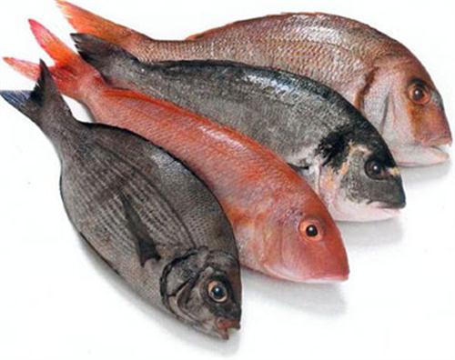 Curso de processamento de pescado gratuito