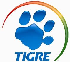 Tigre abre vagas de trainee para 2013