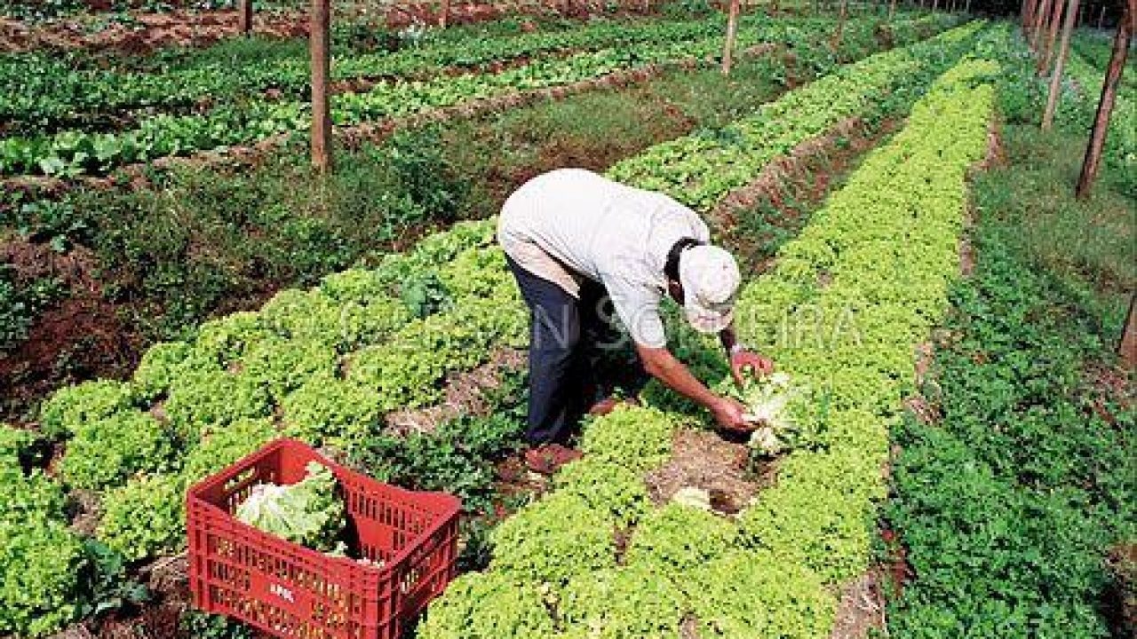 MENSAGEM EM HOMENAGEM AO DIA DO AGRICULTOR