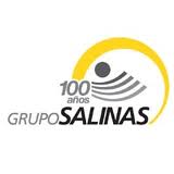 Programa de Trainee Grupo Salinas 2012