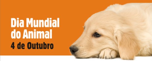 Frases para o dia mundial dos animais