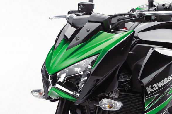 Kawasaki Z800 (Foto: Infomoto/divulgação)