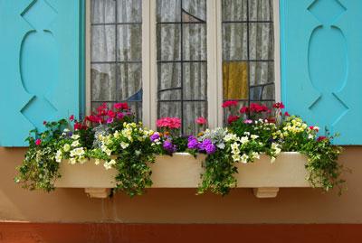 Jardins em janelas. (Foto: Divulgação).