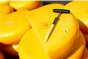 Curso de queijos e industrialização de soro gratuito