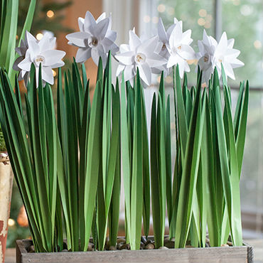 Arranjo feito com flores de papel passo a passo