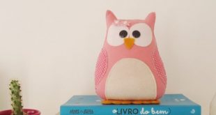 Peso de Porta em Feltro: Como Fazer Passo a Passo