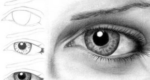 Desenhos Passo a Passo para Iniciantes