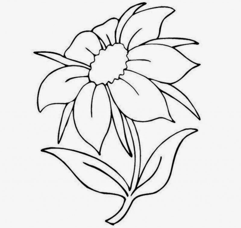 Desenho De Flor De Lotus Para Colorir - Últimas Flores